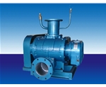 羅茨真空泵