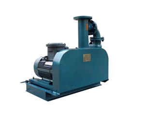 煤氣加壓羅茨鼓風(fēng)機(jī)